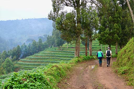 Eco Tours