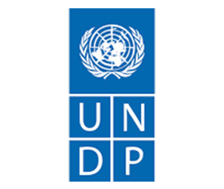 UNDP